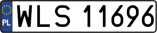 WLS11696