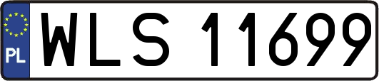 WLS11699