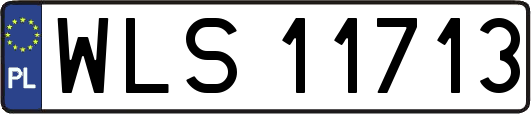 WLS11713