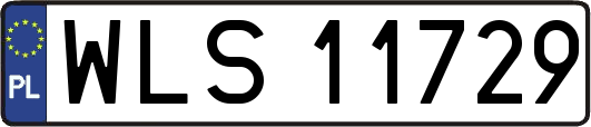 WLS11729