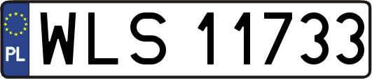 WLS11733