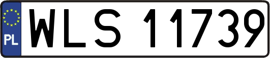 WLS11739