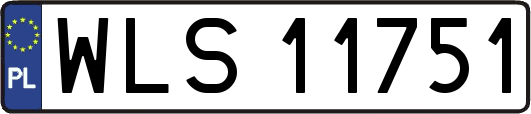 WLS11751
