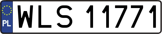 WLS11771