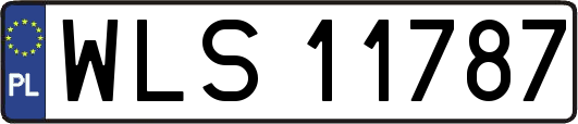 WLS11787