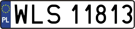 WLS11813