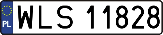 WLS11828