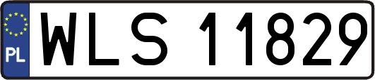 WLS11829