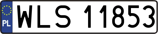 WLS11853
