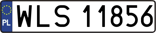 WLS11856