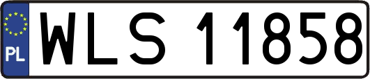 WLS11858