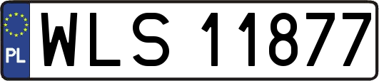 WLS11877