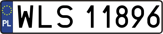 WLS11896