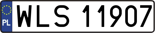WLS11907