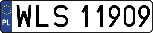 WLS11909
