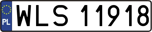 WLS11918