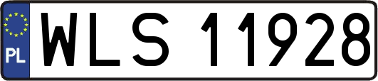 WLS11928