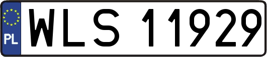 WLS11929