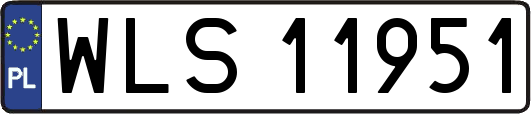 WLS11951