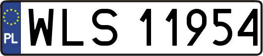WLS11954