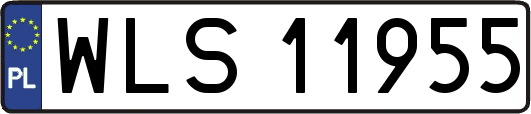 WLS11955