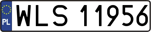WLS11956
