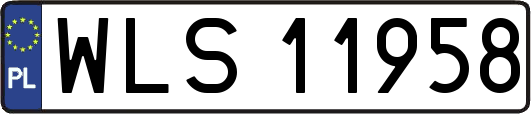 WLS11958