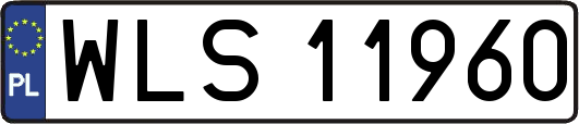 WLS11960