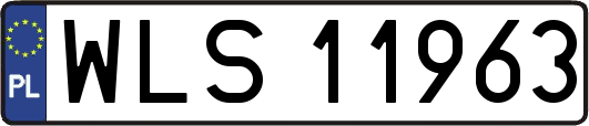 WLS11963
