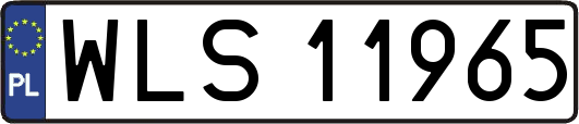 WLS11965