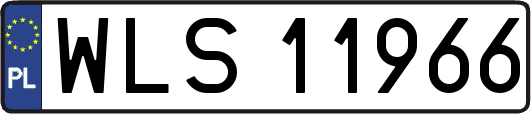 WLS11966