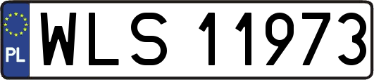 WLS11973