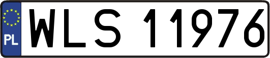 WLS11976