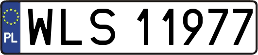 WLS11977