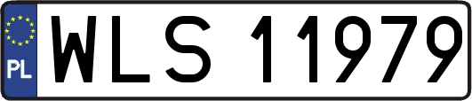 WLS11979