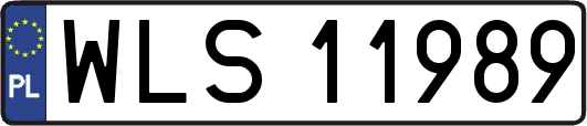 WLS11989