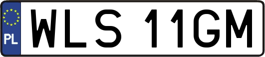 WLS11GM