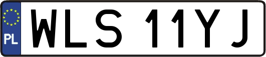 WLS11YJ