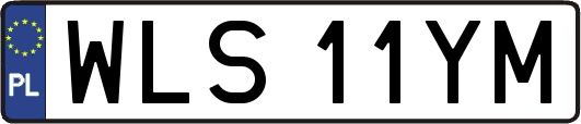 WLS11YM