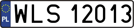 WLS12013