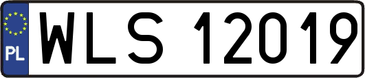 WLS12019