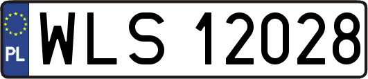 WLS12028