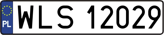 WLS12029
