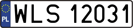 WLS12031