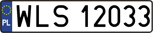 WLS12033