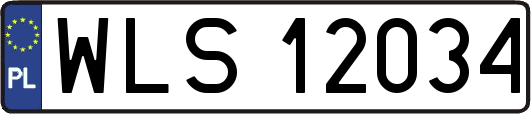 WLS12034