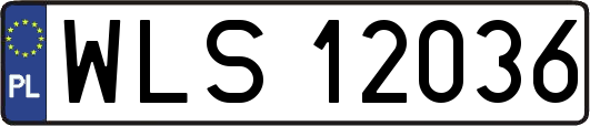 WLS12036