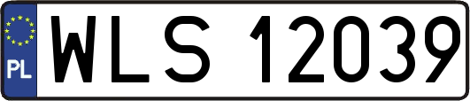 WLS12039