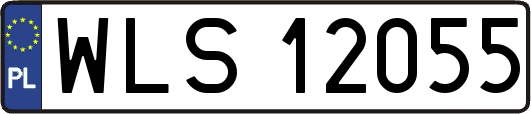 WLS12055