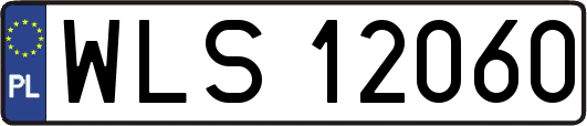 WLS12060